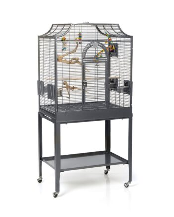 Gabbia Madeira I Antik da Montana Cages
