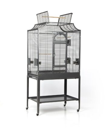 Gabbia Madeira II Antik da Montana Cages