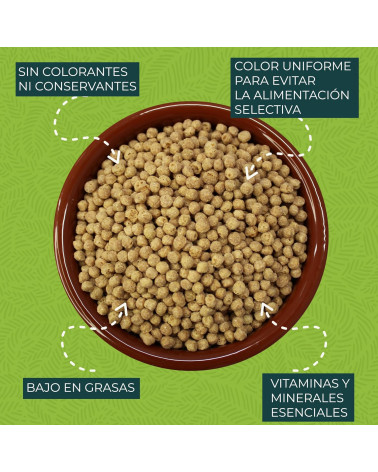 zupreem-essentials-m-1-kg (1) zupreem-essentials-m-1-kg (1)