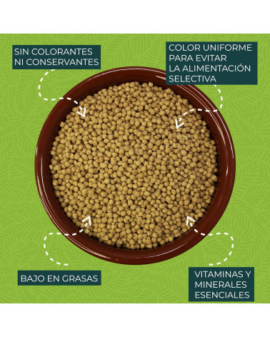 zupreem-essentials-s-1-kg (3) zupreem-essentials-s-1-kg (3)